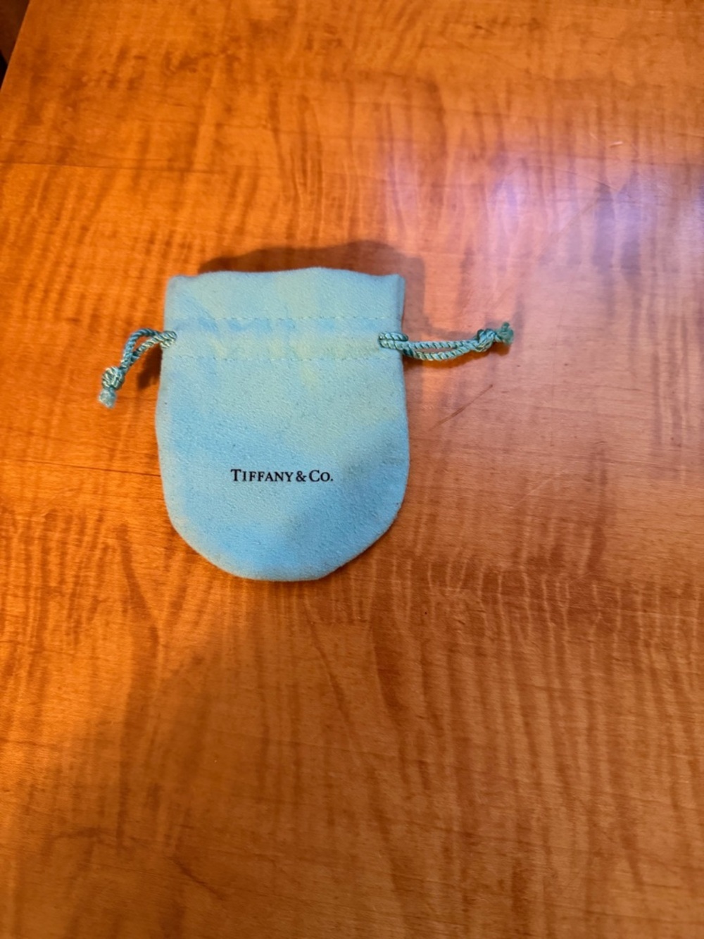 Tiffany & Co. Robin's Egg Blue Suede Drawstring Pouch
